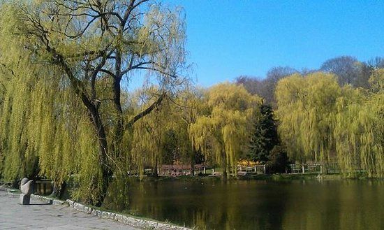 Wycieczka rowerowa po Gdańsku